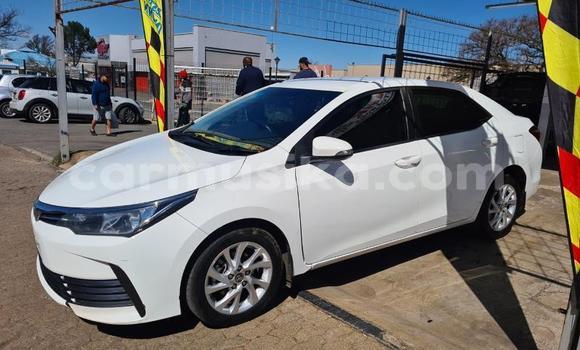 Buy Used Toyota Corolla Other Car in Chegutu in Mashonaland West Buy Used Toyota Corolla Other Car in Chegutu in Mashonaland West