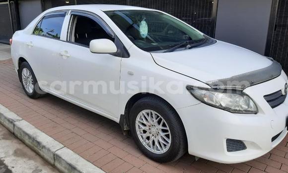 Nunua Ilio tumika Toyota Corolla Nyeupe Gari ndani ya Beitbridge nchini Matabeleland Kusini
