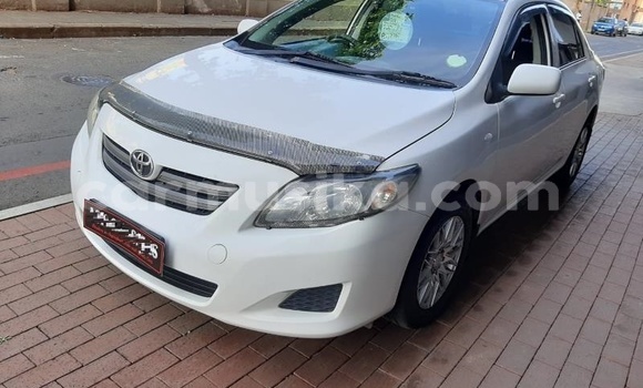 Buy Used Toyota Corolla White Car in Beitbridge in Matabeleland South Buy Used Toyota Corolla White Car in Beitbridge in Matabeleland South