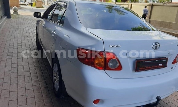 Buy Used Toyota Corolla White Car in Beitbridge in Matabeleland South Buy Used Toyota Corolla White Car in Beitbridge in Matabeleland South