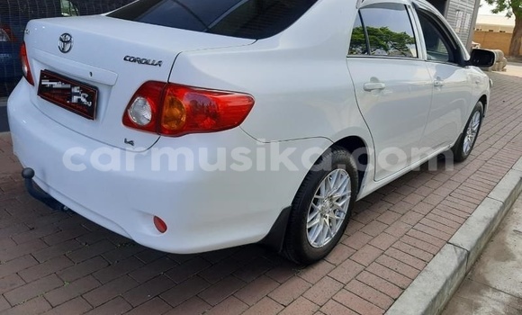 Buy Used Toyota Corolla White Car in Beitbridge in Matabeleland South Buy Used Toyota Corolla White Car in Beitbridge in Matabeleland South