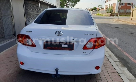 Buy Used Toyota Corolla White Car in Beitbridge in Matabeleland South Buy Used Toyota Corolla White Car in Beitbridge in Matabeleland South