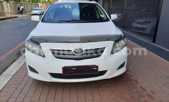 Buy Used Toyota Corolla White Car in Beitbridge in Matabeleland South Buy Used Toyota Corolla White Car in Beitbridge in Matabeleland South