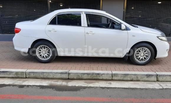 Buy Used Toyota Corolla White Car in Beitbridge in Matabeleland South Buy Used Toyota Corolla White Car in Beitbridge in Matabeleland South