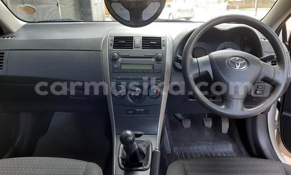 Buy Used Toyota Corolla White Car in Beitbridge in Matabeleland South Buy Used Toyota Corolla White Car in Beitbridge in Matabeleland South