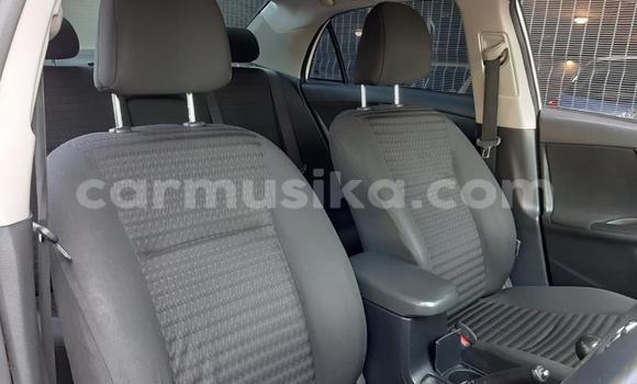 Buy Used Toyota Corolla White Car in Beitbridge in Matabeleland South Buy Used Toyota Corolla White Car in Beitbridge in Matabeleland South