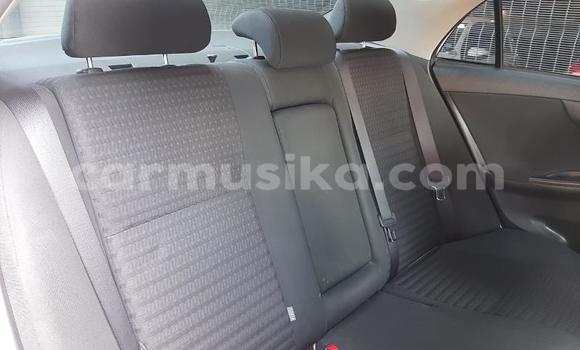 Buy Used Toyota Corolla White Car in Beitbridge in Matabeleland South Buy Used Toyota Corolla White Car in Beitbridge in Matabeleland South