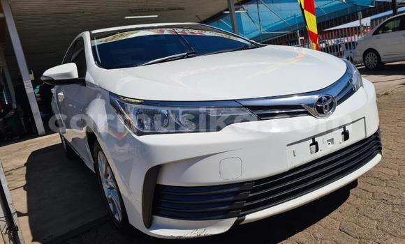 Nunua Ilio tumika Toyota Corolla Nyeupe Gari ndani ya Borrowdale nchini Harare