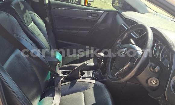 Tenga Tsaru Toyota Corolla Chena Mota in Borrowdale in Harare Tenga Tsaru Toyota Corolla Chena Mota in Borrowdale in Harare