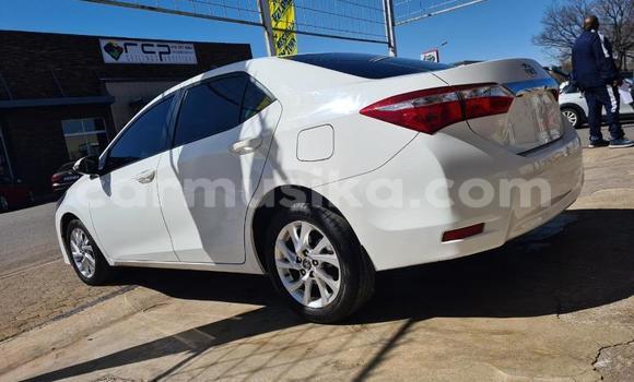 Tenga Tsaru Toyota Corolla Chena Mota in Borrowdale in Harare Tenga Tsaru Toyota Corolla Chena Mota in Borrowdale in Harare