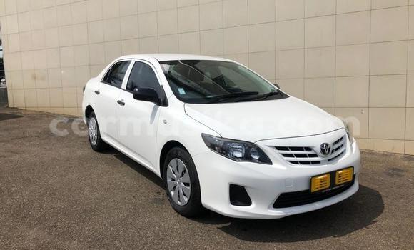 Buy Used Toyota Corolla White Car in Avondale in Harare