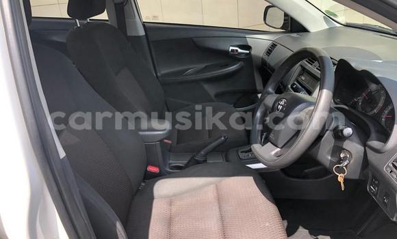 Buy Used Toyota Corolla Other Car in Gweru in Midlands Buy Used Toyota Corolla Other Car in Gweru in Midlands