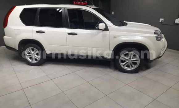 Acheter Occasion Voiture Nissan X–Trail Blanc à Beitbridge, Matabeleland South Acheter Occasion Voiture Nissan X–Trail Blanc à Beitbridge, Matabeleland South