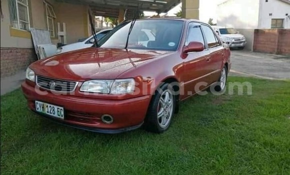 Acheter Occasion Voiture Toyota Corolla Rouge à Beitbridge, Matabeleland South Acheter Occasion Voiture Toyota Corolla Rouge à Beitbridge, Matabeleland South