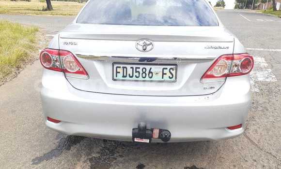 Buy Used Toyota Corolla Silver Car in Beitbridge in Matabeleland South