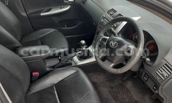 Acheter Occasion Voiture Toyota Corolla Gris à Beitbridge, Matabeleland South Acheter Occasion Voiture Toyota Corolla Gris à Beitbridge, Matabeleland South