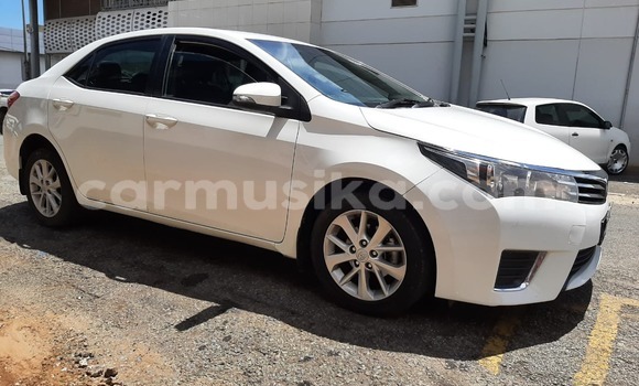 Tenga Tsaru Toyota Corolla Chena Mota in Beitbridge in Matabeleland South