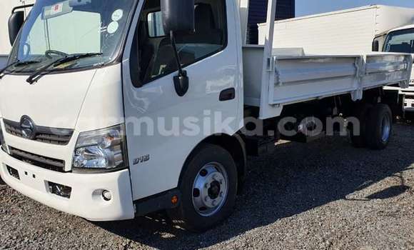 Buy Used Hino 300 Series White Truck in Beitbridge in Matabeleland South
