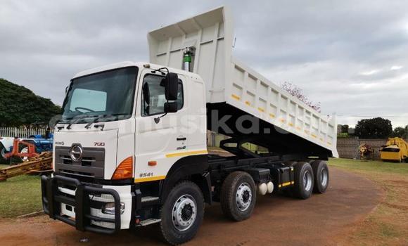 Acheter Occasion Utilitaire Hino 300 Series Blanc à Beitbridge, Matabeleland South Acheter Occasion Utilitaire Hino 300 Series Blanc à Beitbridge, Matabeleland South