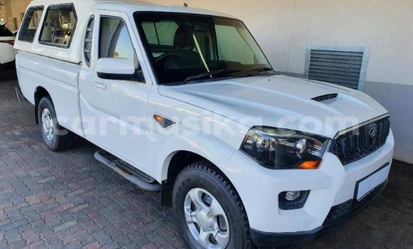 Tenga Tsaru Mahindra Scorpio Chena Mota in Beitbridge in Matabeleland South Tenga Tsaru Mahindra Scorpio Chena Mota in Beitbridge in Matabeleland South