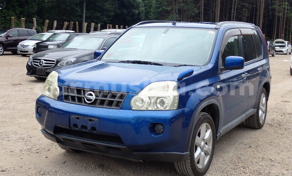 Tenga Tsaru Nissan X–Trail Bhuruu Mota in Beitbridge in Matabeleland South