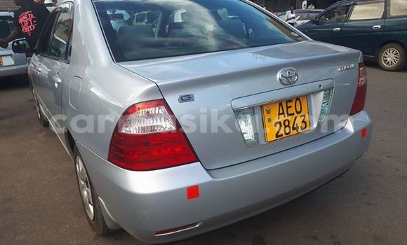 Buy Used Toyota Corolla Silver Car in Chipinge in Manicaland Buy Used Toyota Corolla Silver Car in Chipinge in Manicaland
