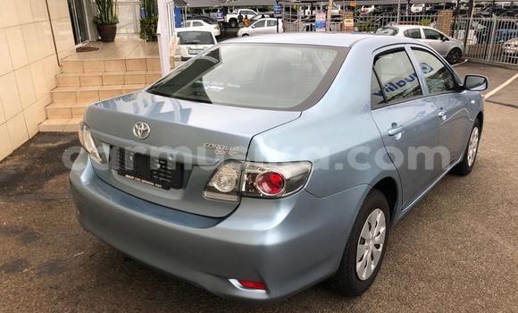 Buy Used Toyota Corolla Other Car in Borrowdale in Harare Buy Used Toyota Corolla Other Car in Borrowdale in Harare