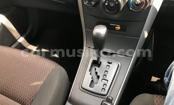 Buy Used Toyota Corolla White Car in Chimanimani in Manicaland Buy Used Toyota Corolla White Car in Chimanimani in Manicaland