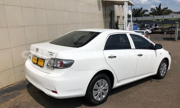 Buy Used Toyota Corolla White Car in Chimanimani in Manicaland Buy Used Toyota Corolla White Car in Chimanimani in Manicaland