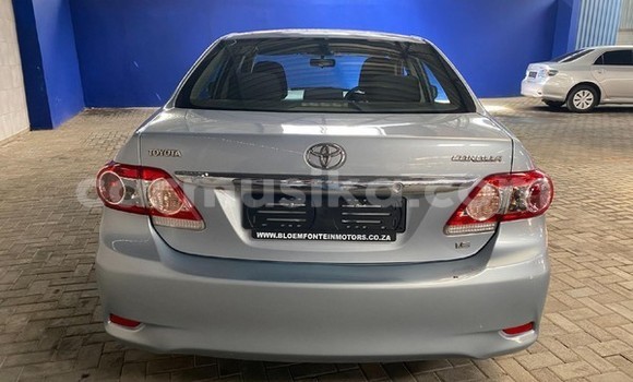 Acheter Occasion Voiture Toyota Corolla Bleu à Beitbridge, Matabeleland South Acheter Occasion Voiture Toyota Corolla Bleu à Beitbridge, Matabeleland South