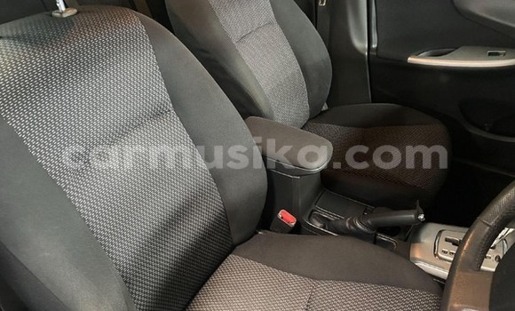 Acheter Occasion Voiture Toyota Corolla Bleu à Beitbridge, Matabeleland South Acheter Occasion Voiture Toyota Corolla Bleu à Beitbridge, Matabeleland South