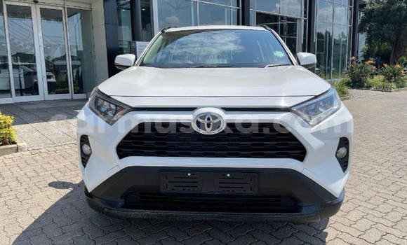 Tenga Tsaru Toyota RAV4 Chena Mota in Beitbridge in Matabeleland South Tenga Tsaru Toyota RAV4 Chena Mota in Beitbridge in Matabeleland South