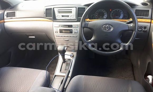 Acheter Occasion Voiture Toyota Corolla Gris à Chipinge, Manicaland Acheter Occasion Voiture Toyota Corolla Gris à Chipinge, Manicaland