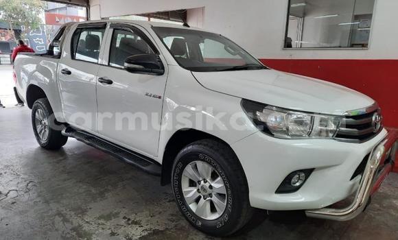 Tenga Tsaru Toyota Hilux Chena Mota in Beitbridge in Matabeleland South Tenga Tsaru Toyota Hilux Chena Mota in Beitbridge in Matabeleland South