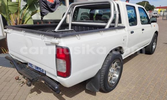 Tenga Tsaru Nissan NP 300 Chena Mota in Beitbridge in Matabeleland South Tenga Tsaru Nissan NP 300 Chena Mota in Beitbridge in Matabeleland South