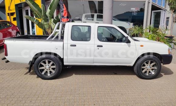 Tenga Tsaru Nissan NP 300 Chena Mota in Beitbridge in Matabeleland South Tenga Tsaru Nissan NP 300 Chena Mota in Beitbridge in Matabeleland South