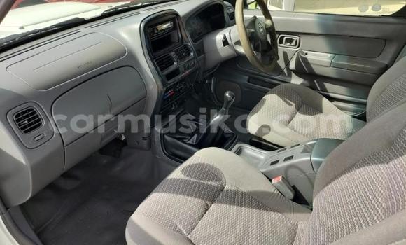 Tenga Tsaru Nissan NP 300 Chena Mota in Beitbridge in Matabeleland South Tenga Tsaru Nissan NP 300 Chena Mota in Beitbridge in Matabeleland South