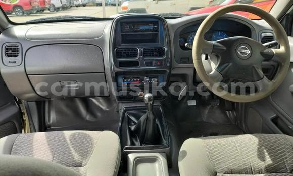 Tenga Tsaru Nissan NP 300 Chena Mota in Beitbridge in Matabeleland South Tenga Tsaru Nissan NP 300 Chena Mota in Beitbridge in Matabeleland South