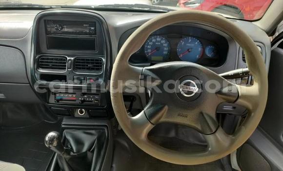 Tenga Tsaru Nissan NP 300 Chena Mota in Beitbridge in Matabeleland South Tenga Tsaru Nissan NP 300 Chena Mota in Beitbridge in Matabeleland South