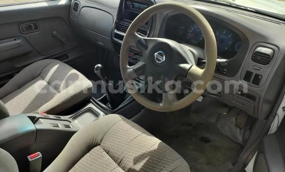 Tenga Tsaru Nissan NP 300 Chena Mota in Beitbridge in Matabeleland South Tenga Tsaru Nissan NP 300 Chena Mota in Beitbridge in Matabeleland South