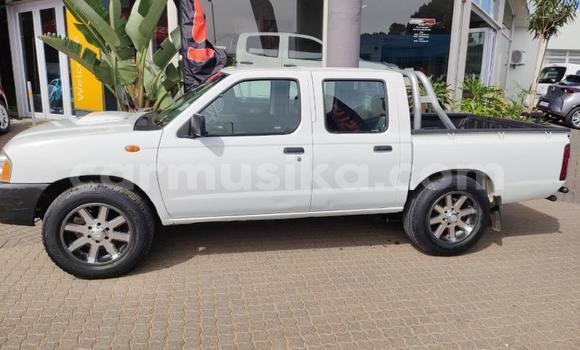 Tenga Tsaru Nissan NP 300 Chena Mota in Beitbridge in Matabeleland South Tenga Tsaru Nissan NP 300 Chena Mota in Beitbridge in Matabeleland South