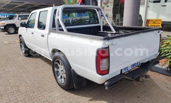 Tenga Tsaru Nissan NP 300 Chena Mota in Beitbridge in Matabeleland South Tenga Tsaru Nissan NP 300 Chena Mota in Beitbridge in Matabeleland South