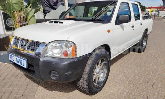 Tenga Tsaru Nissan NP 300 Chena Mota in Beitbridge in Matabeleland South Tenga Tsaru Nissan NP 300 Chena Mota in Beitbridge in Matabeleland South