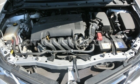 Tenga Tsaru Toyota Auris Sirivha Mota in Beitbridge in Matabeleland South Tenga Tsaru Toyota Auris Sirivha Mota in Beitbridge in Matabeleland South