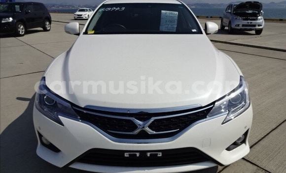 Tenga Tsaru Toyota Mark X Chena Mota in Beitbridge in Matabeleland South