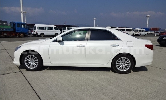 Tenga Tsaru Toyota Mark X Chena Mota in Beitbridge in Matabeleland South Tenga Tsaru Toyota Mark X Chena Mota in Beitbridge in Matabeleland South