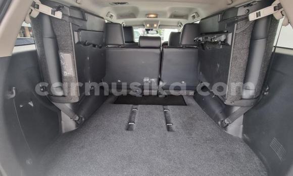 Tenga Tsaru Toyota Fortuner Chena Mota in Beitbridge in Matabeleland South Tenga Tsaru Toyota Fortuner Chena Mota in Beitbridge in Matabeleland South