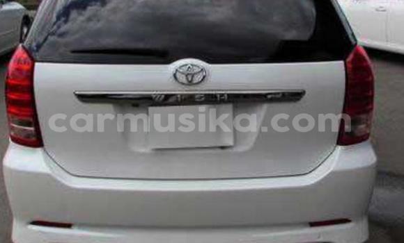 Tenga Tsaru Toyota Wish Chena Mota in Beitbridge in Matabeleland South