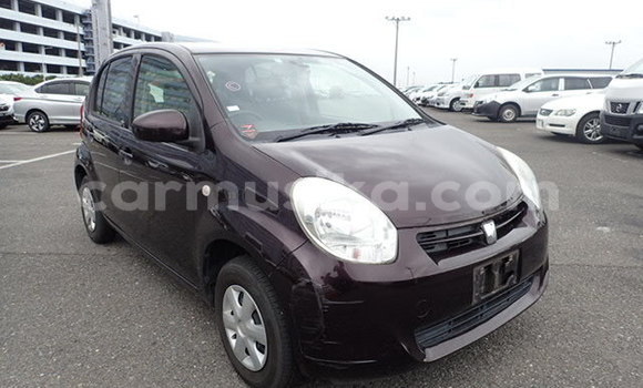 Tenga Tsaru Toyota Passo Beige Mota in Beitbridge in Matabeleland South