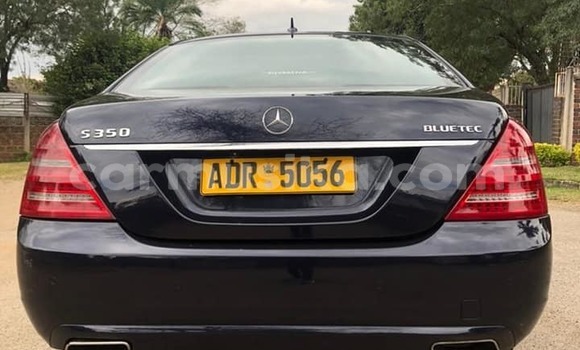 Tenga Tsaru MercedesâBenz Maybach S-klasse Bhuruu Mota in Harare in Harare Tenga Tsaru MercedesâBenz Maybach S-klasse Bhuruu Mota in Harare in Harare